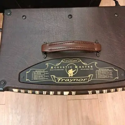 Traynor ACOUSTIC MASTER STANDARD 2